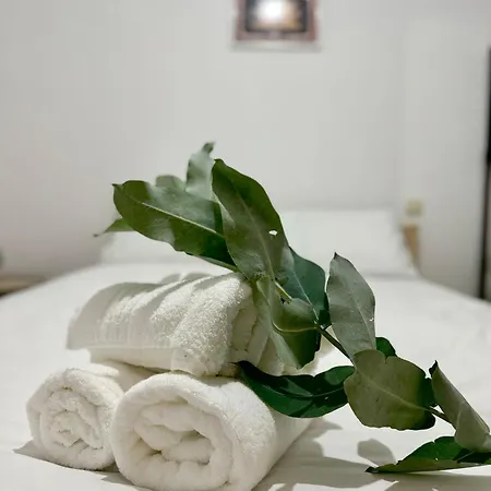 Tu En El Centro De Apartamento *