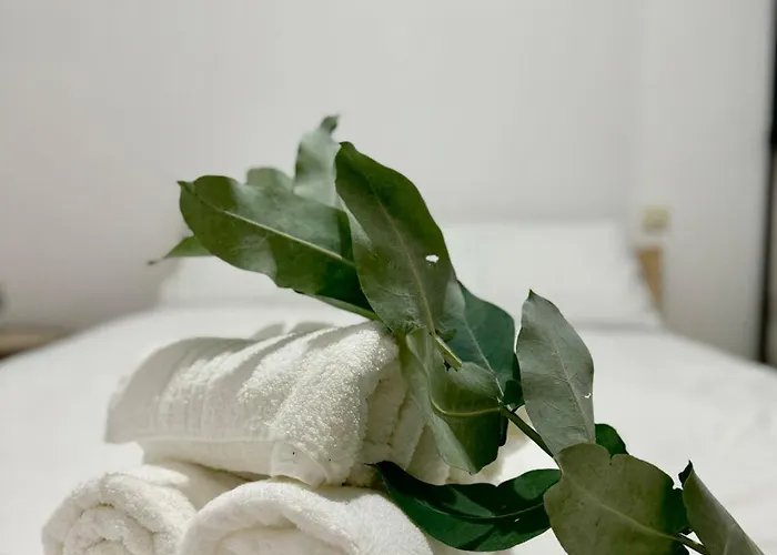 Tu En El Centro De Apartment *